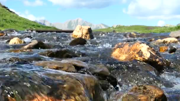 Eau Coule Premier Plan Chaîne Montagnes Rocheuses Arrière Plan Gros — Video