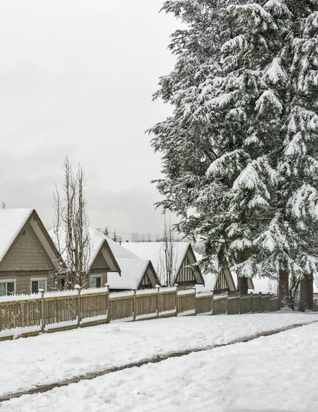 Fila de casas residenciais na neve. Inverno no Canadá — Fotografia de Stock