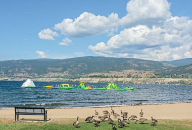 Kum plajı ve su Okanagan Gölü 'nün cazibesini emer.