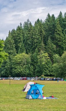 Parkta yeşil çimlere kurulmuş küçük bir hafta sonu kampı.
