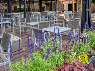 Yağmurlu bir günde boş sokak kafesinde dekoratif lavanta çiçekleri