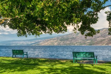 Okanagan Gölü kıyısındaki patika boyunca dinlenme alanı.