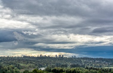 Bulutlu gökyüzü arkaplanındaki parktaki yoğunluğun manzara görüntüsü