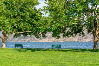 Okanagan Gölü kıyısındaki patika boyunca dinlenme alanı.
