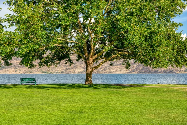 Ensam bänk på stranden med sjö- och fjällutsikt under kastanjeträdet — Stockfoto