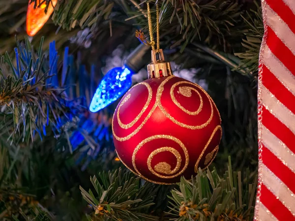 Röd grannlåt med gyllene prydnad på tallbräken — Stockfoto