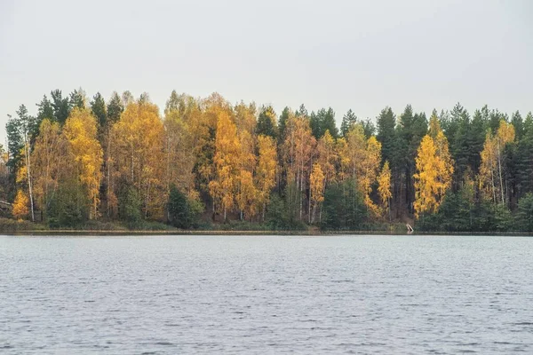 Paisaje Otoñal Parque Con Río Cielo Azul Claro —  Fotos de Stock