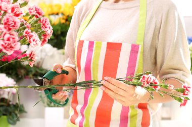 Güzel kesme çiçek, çiçekçi karışık düzenler.