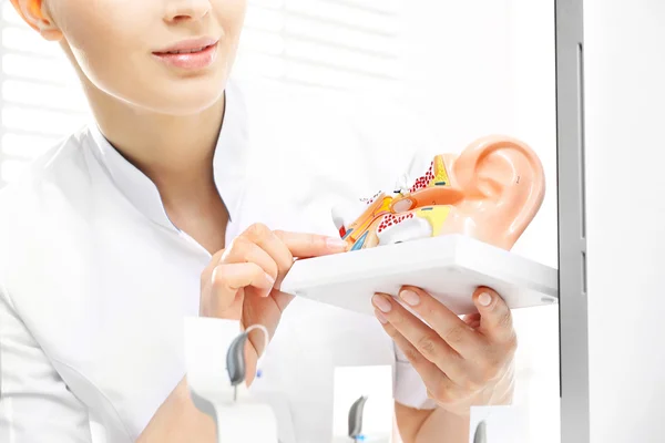 Audiologist, model of the ear. — Stock Photo, Image