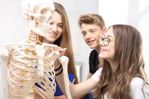 Scheletro, studenti di anatomia in classe — Foto Stock