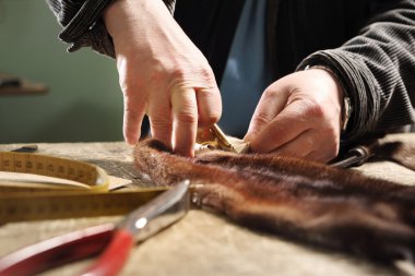Furrier cut leather clipart