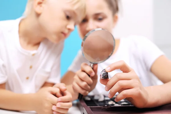 Small geologist. The collection of rocks and minerals — Stock Photo, Image