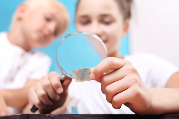 Mica. Twee kinderen, een meisje en een jongen kijken door een vergrootglas stenen uit zijn collectie van rotsen — Stockfoto