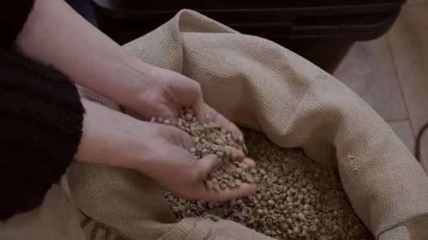 Zielona Kawa Ziarna Zegarki Kobieta Sprawdza Ziarna Kawy Przed Prażeniem — Wideo stockowe
