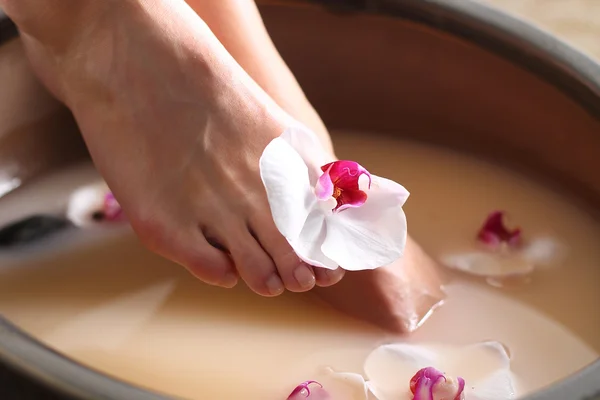 Wellness& spa . Bath for feet — Stock Photo, Image