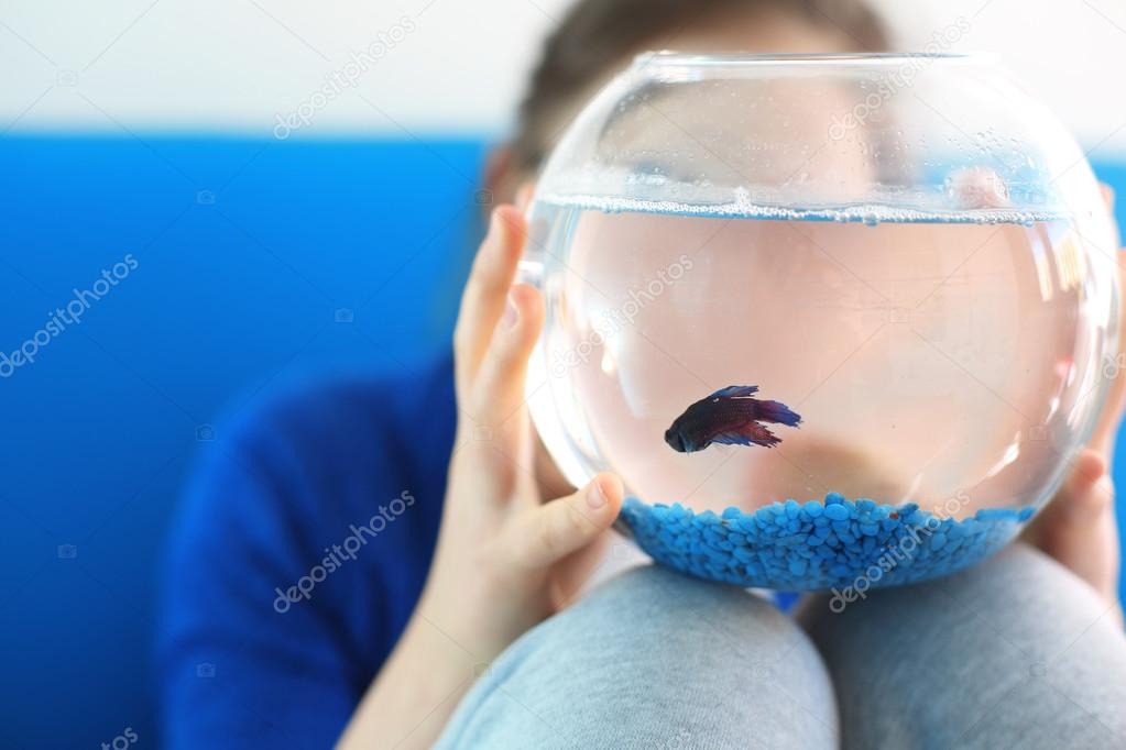 Fighter, little blue fish