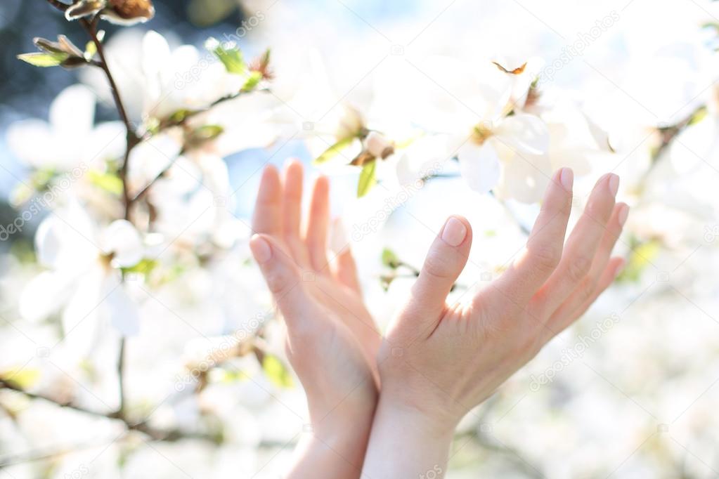 Delicate feminine hands