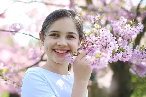 Spring is a beautiful time of year. — Stock Photo, Image