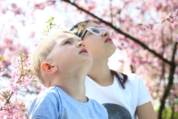 Děti se dívat na oblohu — Stock fotografie