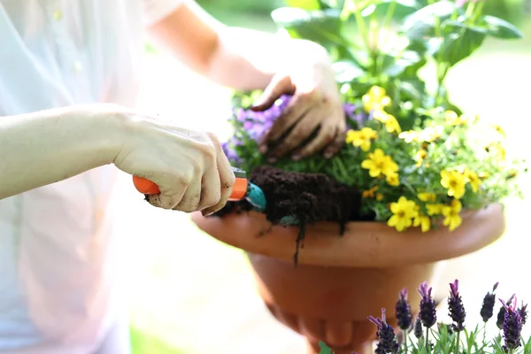 Zomer werk in de tuin — Stockfoto