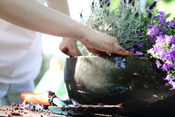 Travail d'été dans le jardin — Photo