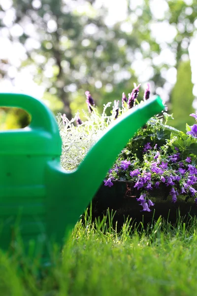 Watering the garden — Stock Photo, Image