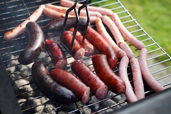 Barbecue, grilled sausages