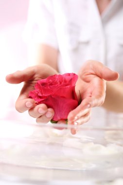 Güzellik salonları, manikür gül