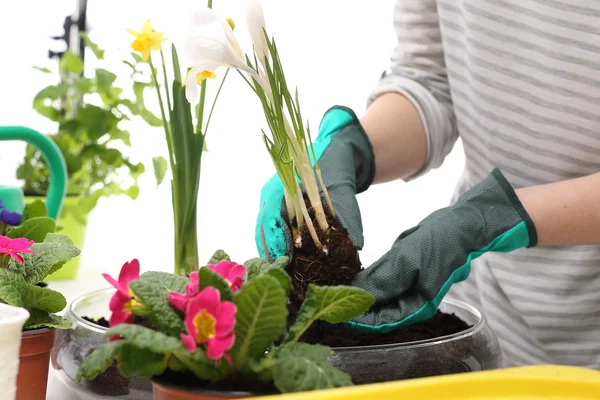 Frühlingsblumenschmuck — Stockfoto