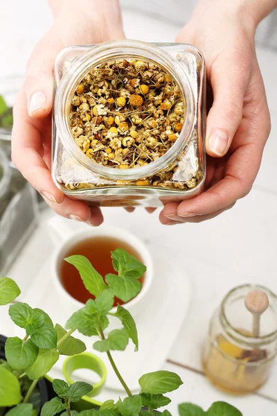 Chamomile herbal chamomile tea. — Stock Photo, Image