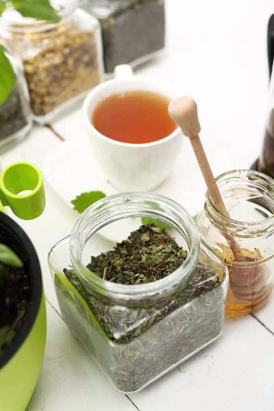 Kruidenthee. Mint thee, natuurlijke infusie van kruiden. — Stockfoto