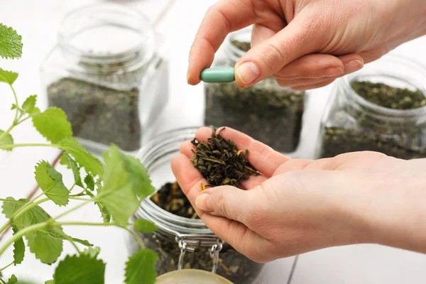 ハーブ、本草学で自然療法の緑茶 — ストック写真