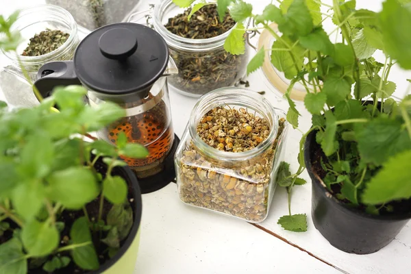 Medicina herbal, chá de ervas . — Fotografia de Stock
