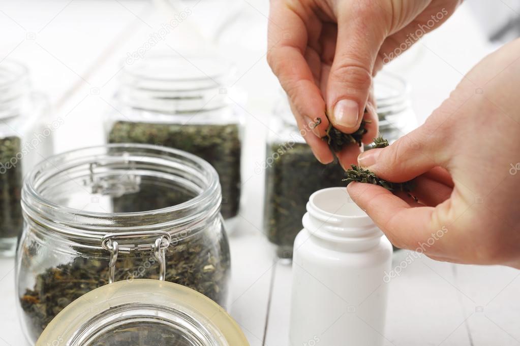Green tea in herbalism