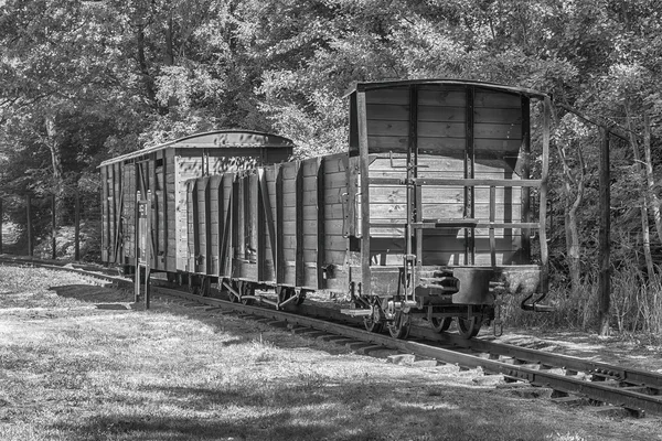 Toplama kampından resim