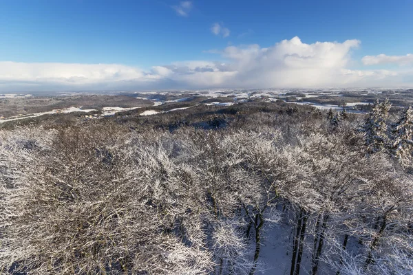 O inverno de Pomerania polonês — Fotografia de Stock