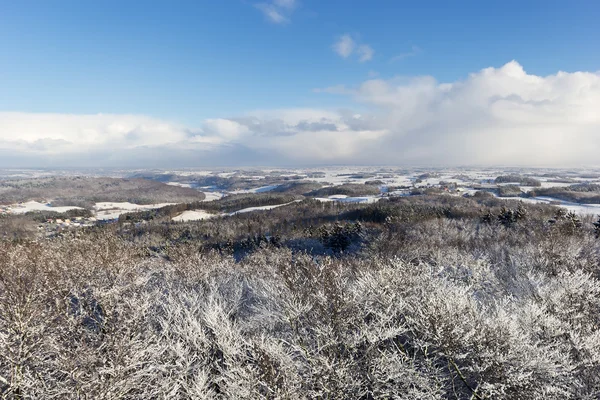 El invierno de Pomerania polaca — Foto de Stock