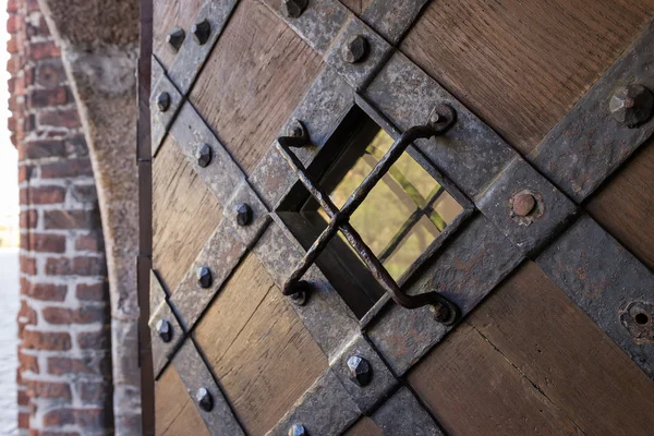 The medieval door — Stock Photo, Image