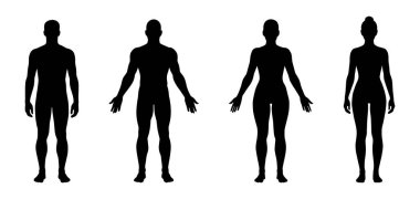Erkek ve kadın vücut silueti. Vektör insan figürü taslağı. Erkek ve kadın önden görünüşü tam boy ayakta duruyor. Çıplak ve çıplak, zayıf sağlıklı insanlar..