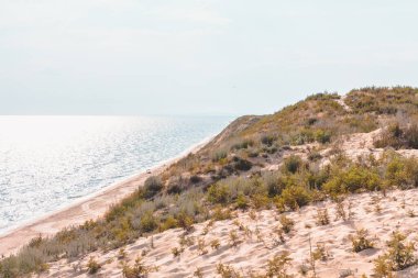 Gün ortası sıcağında kıyıda.