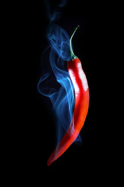 Dohányzás forró piros chili paprika Stock Kép