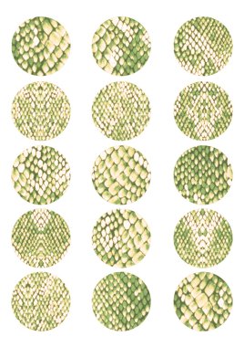 Yılan deri doku, oval desen arka plan