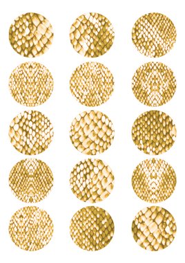 Yılan deri doku, oval desen arka plan