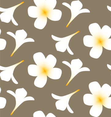 suluboya sıçrama ve tropikal tesisat çiçekleri