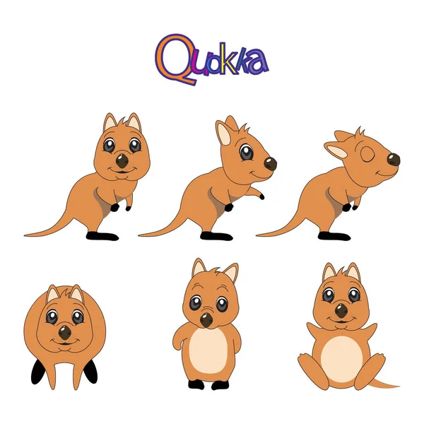 Quokka set carino australia animale. illustrazione vettoriale. — Vettoriale Stock