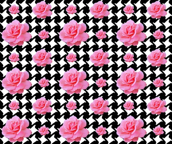 Rosa Rose und Pepitas Muster. Schwarz-weißes Muster. — Stockvektor