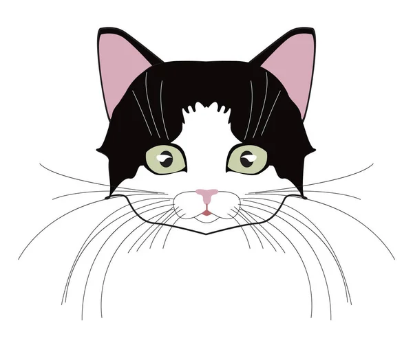 고양이 귀요미 고양이 수염과 일러스트 고양이 머리는 흑백이다 — 스톡 벡터