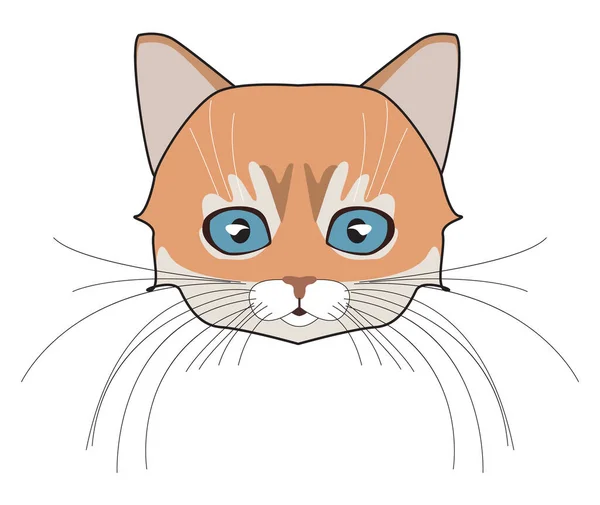 かわいい猫の頭 顔の子猫 ウィスカと耳 銃口とウール ベクトルイラスト 猫頭赤 — ストックベクタ