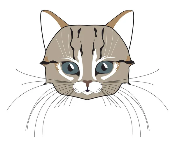 Kat Schattig Hoofd Gezicht Kitten Snor Oor Muilkorf Wol Vector — Stockvector