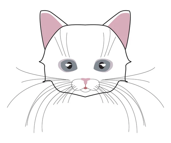 Kat Schattig Hoofd Gezicht Kitten Snor Oor Muilkorf Wol Vector — Stockvector